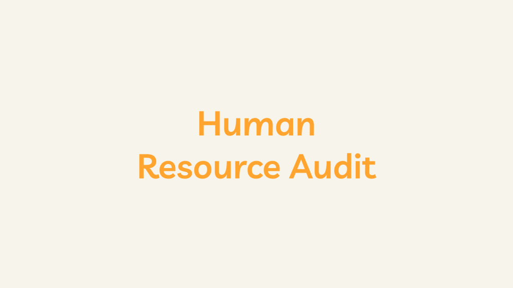 What is Human Resource Audit?