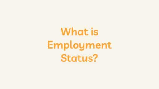 What is Employment Status?